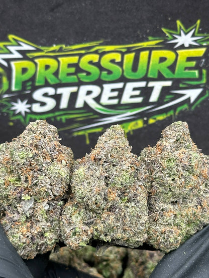 #EX602 - Sweet Cherry (Hybrid)