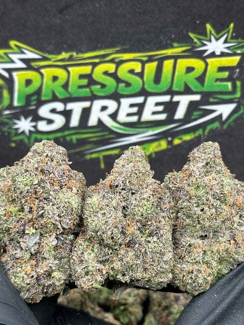 #EX602 - Sweet Cherry (Hybrid)