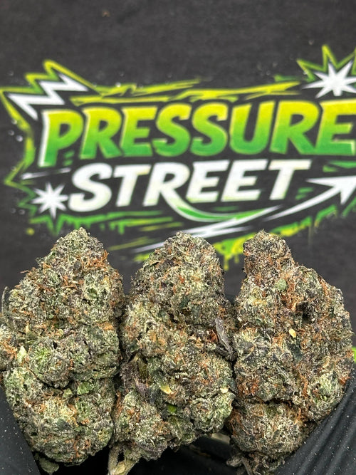 #EX604 - Tropical Bliss (Hybrid)