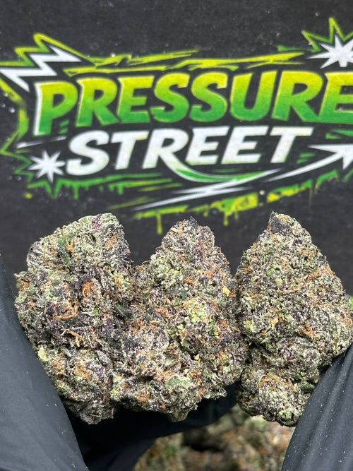 #EX605 - Sherbet Cake (Hybrid)