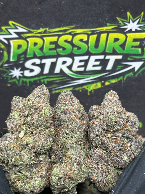 #EX606 - Mint Cream (Hybrid)