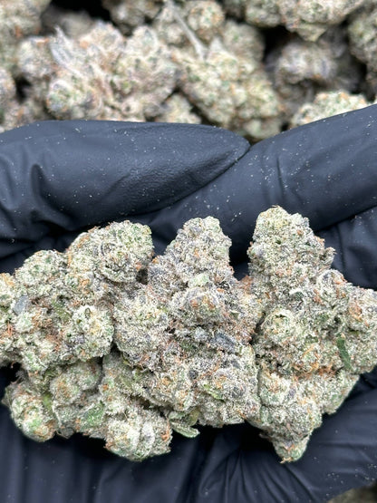 #YKL813 - Diesel Storm (Hybrid)