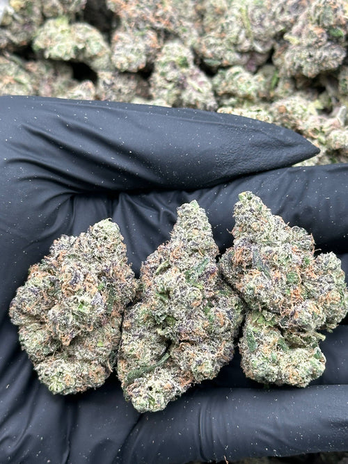 #YKL415 - Explosive Gas (Hybrid)
