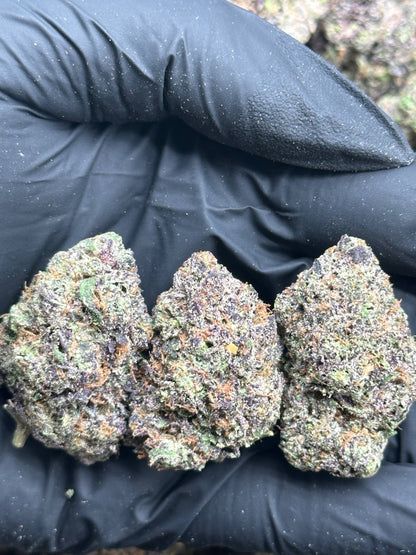 #EX615 - Vanilla Frost (Hybrid)
