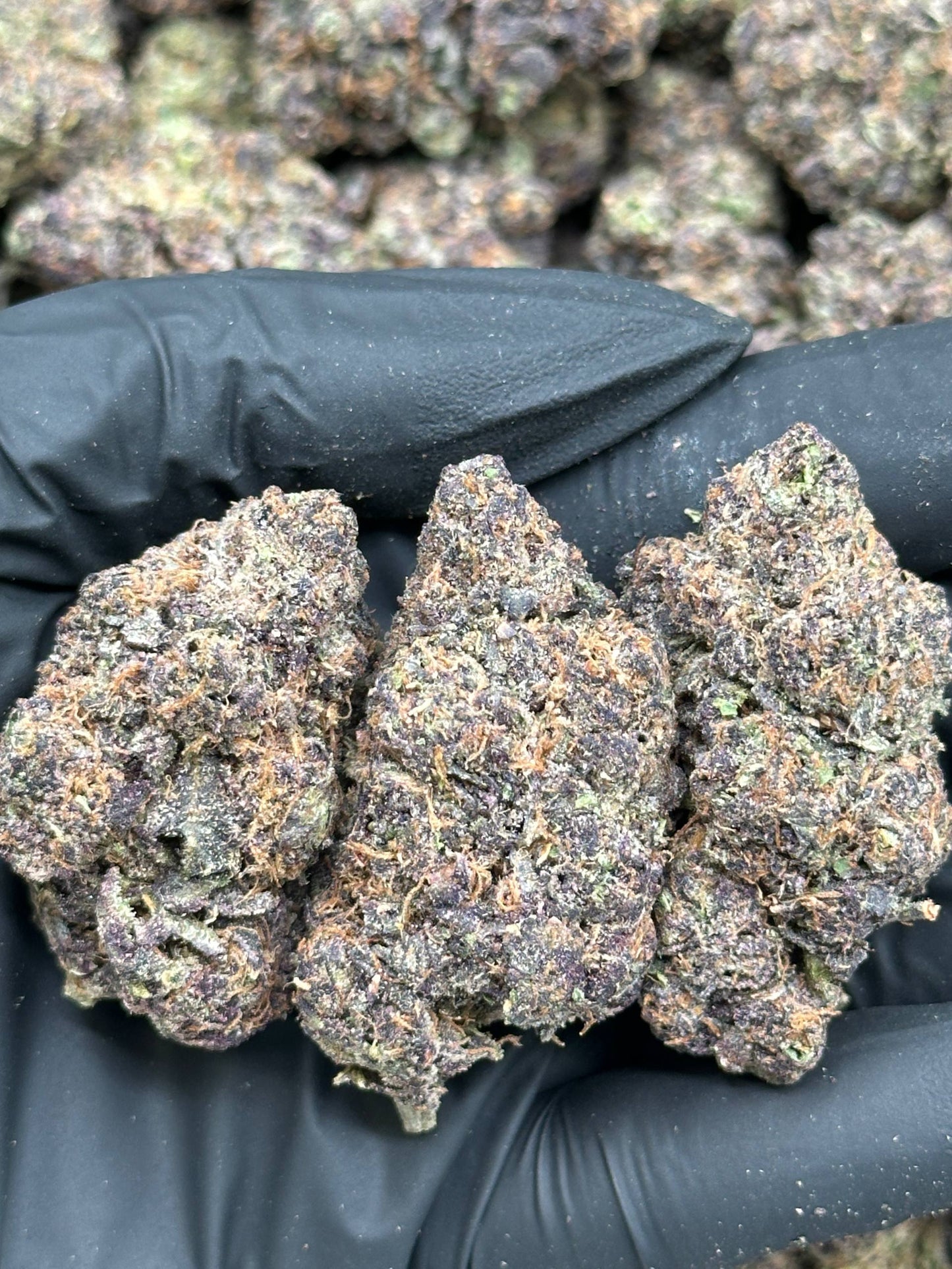 #EX617 - Strawberry Cloud (Hybrid)
