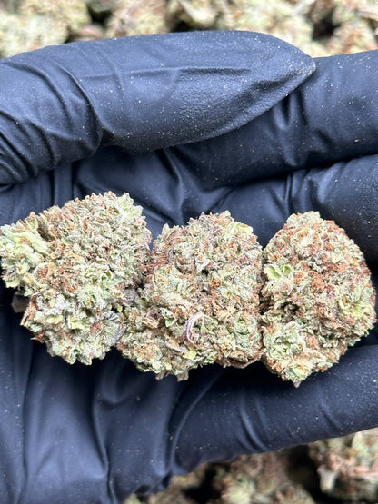 #IND154 - Coconut Cream (Hybrid)