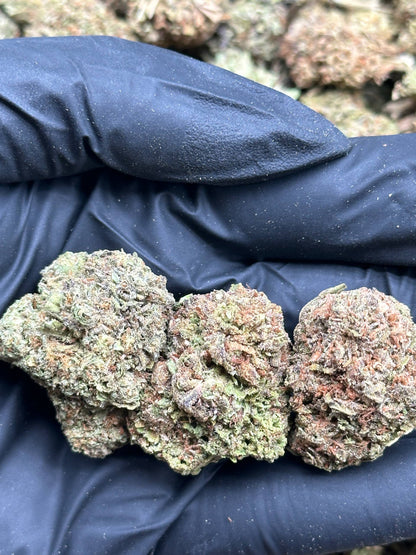 #IND155 - Guava Punch (Hybrid)