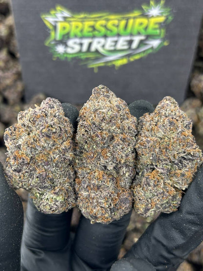 #N-CM1161 - Sunset Cake (Hybrid)