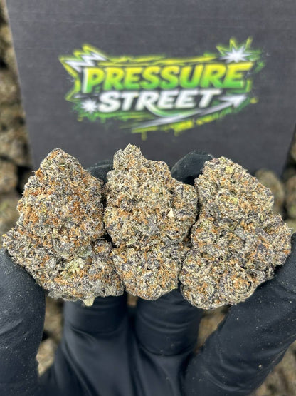 #N-CM1174 - Berry Frost (Hybrid)