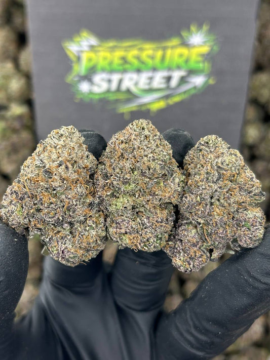 #N-CM1177 - Lemon Crush (Hybrid)