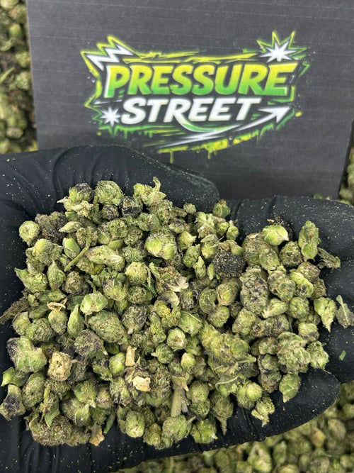 #N-ECS333 - Mango Punch SM (Hybrid)
