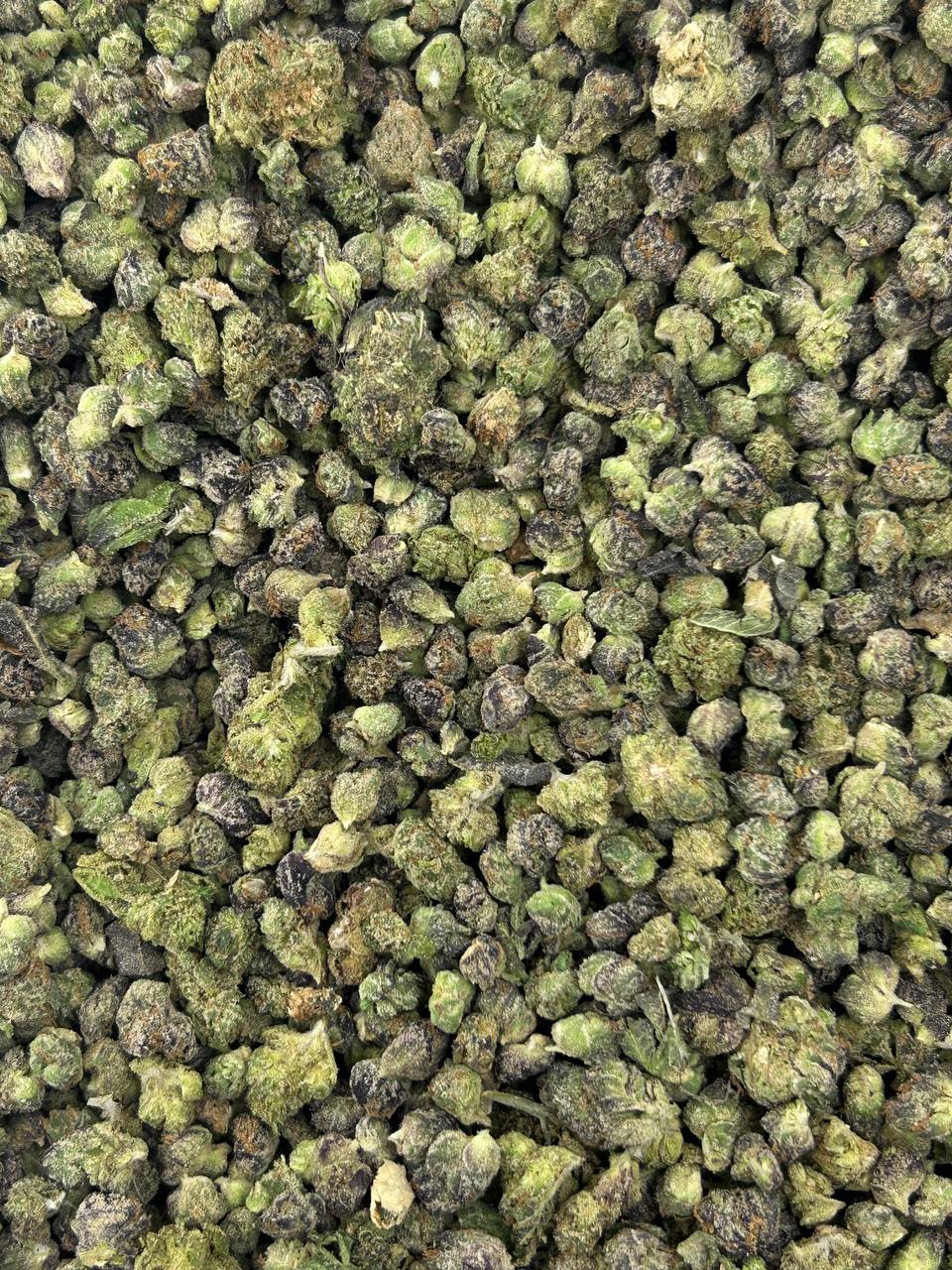 #N-ECS334 - Grape Slush SM (Hybrid)