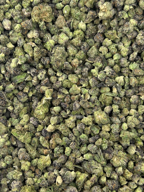 #N-ECS334 - Grape Slush SM (Hybrid)