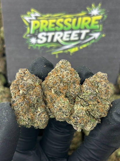 #N-EA745 - Sweet Cream (Hybrid)