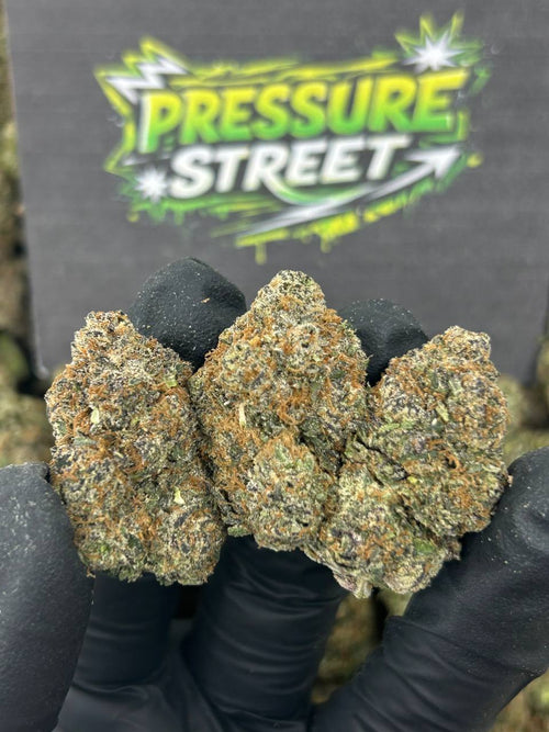 #N-EA745 - Sweet Cream (Hybrid)