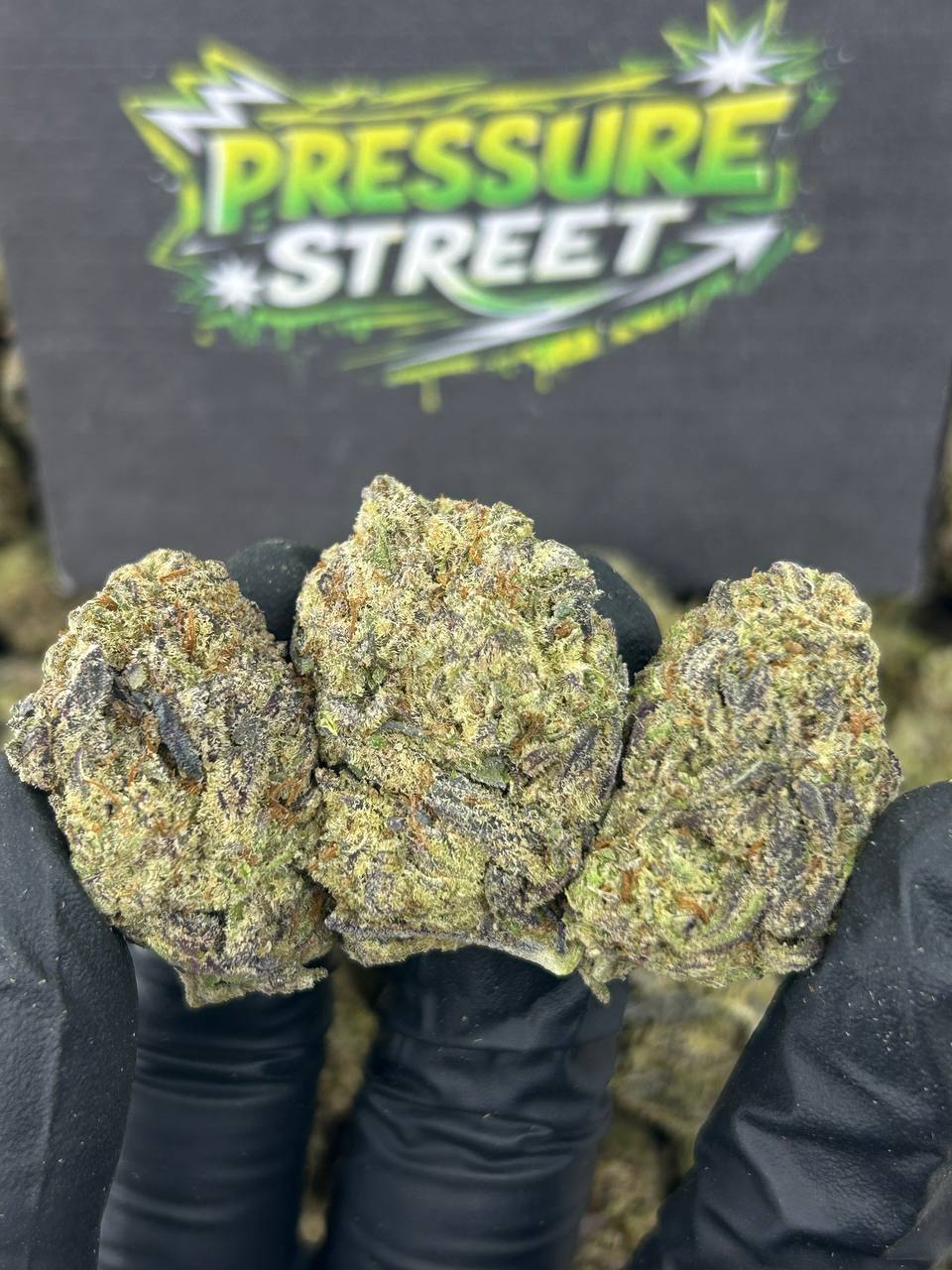#B-EB023 - Purple Punch (Indica)