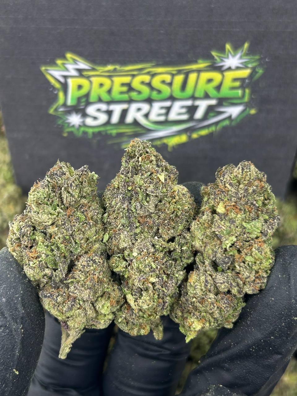 #B-EB024 - Ice Cream Cake (Hybrid)