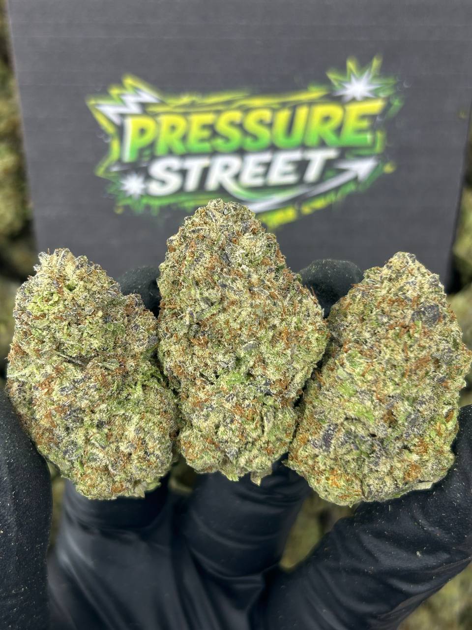 #B-EB019 - GMO Cookies (Indica)