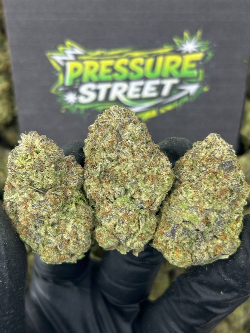 #B-EB019 - GMO Cookies (Indica)
