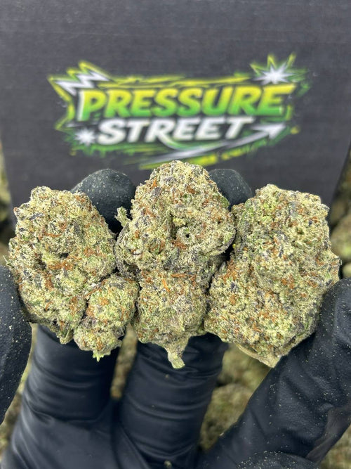 #B-EB021 - Frozen Berries (Hybrid)