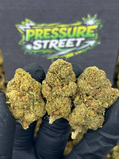 #B-EC009 - Blue Dream (Hybrid)
