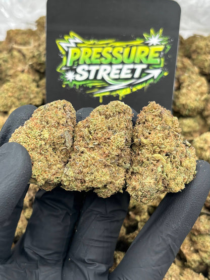 #B-EC010 - Northern Lights (Indica)