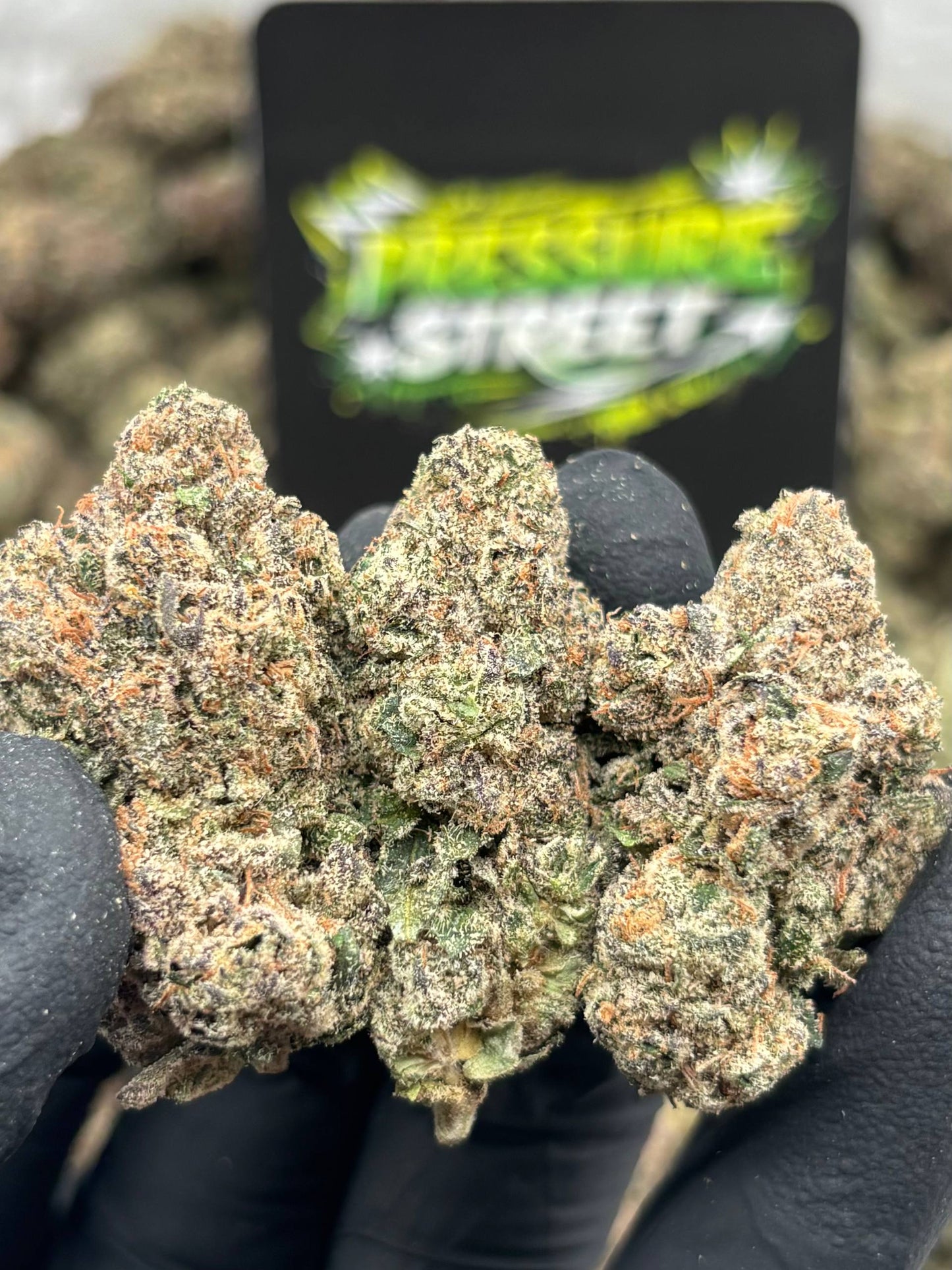 #B-LC039 - GSC (Hybrid)