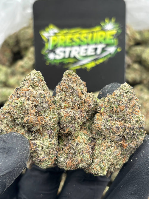 #B-EX033 - White Truffle (Indica)