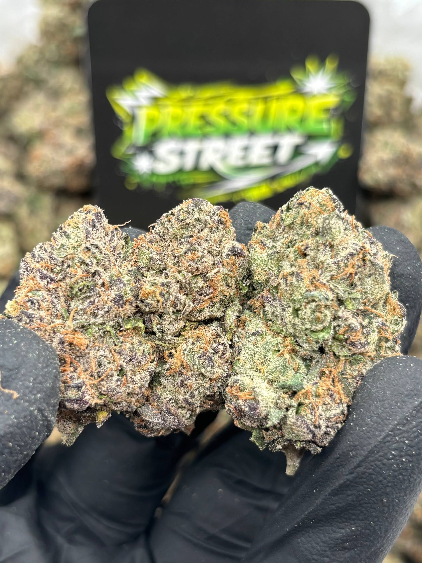 #B-EX032 - Modified Grapes (Hybrid)
