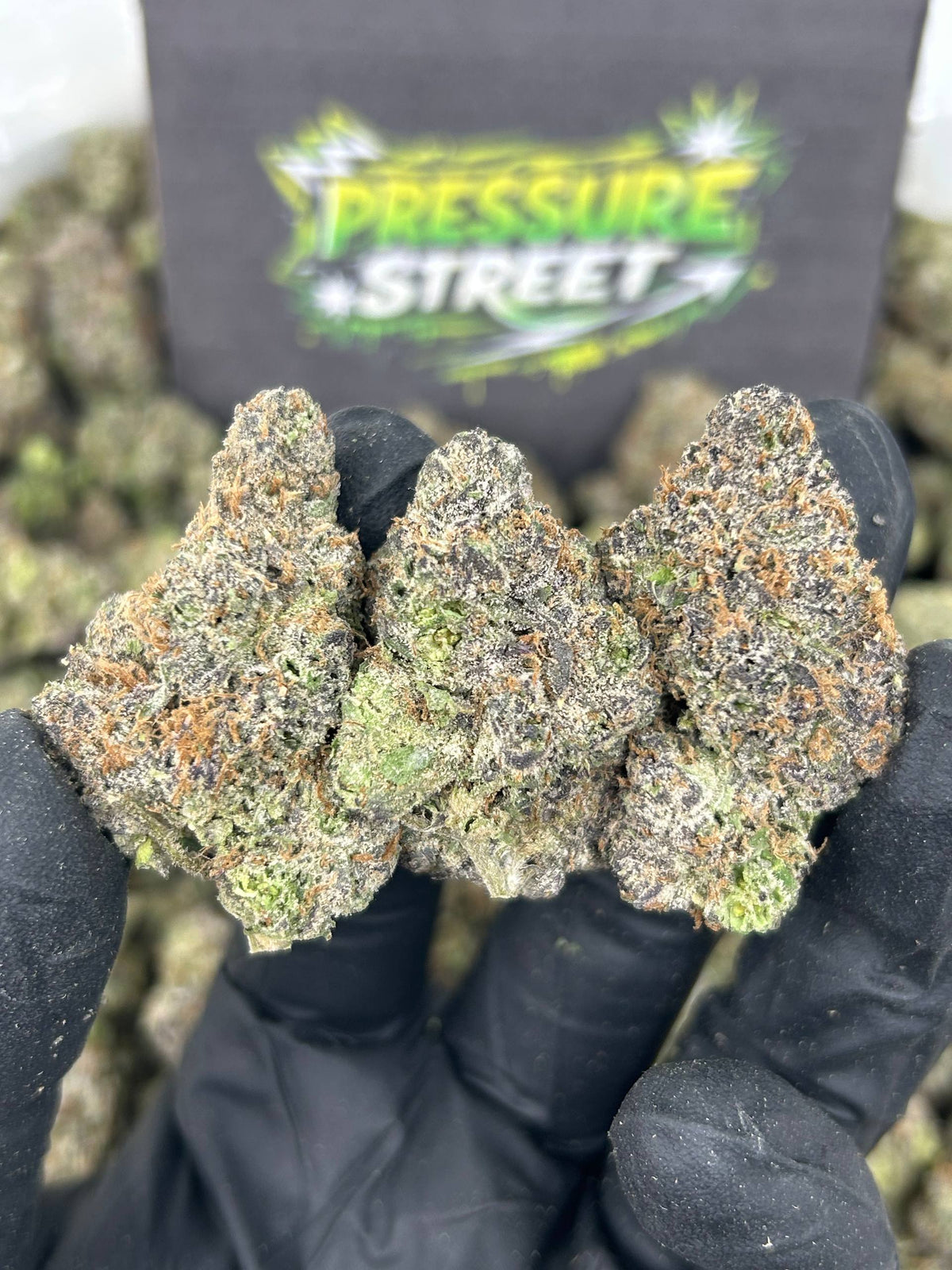 #N-EA827 - Purple Cherriez (Hybrid)
