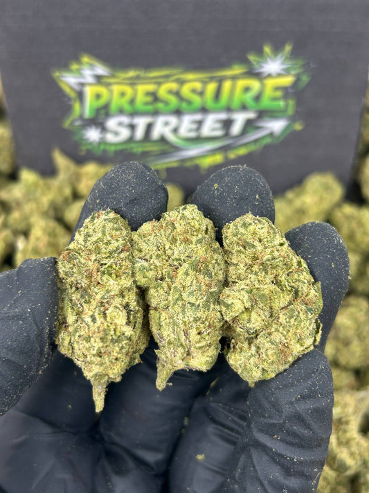 #B-EA021 - White Gelato Dream (Hybrid)