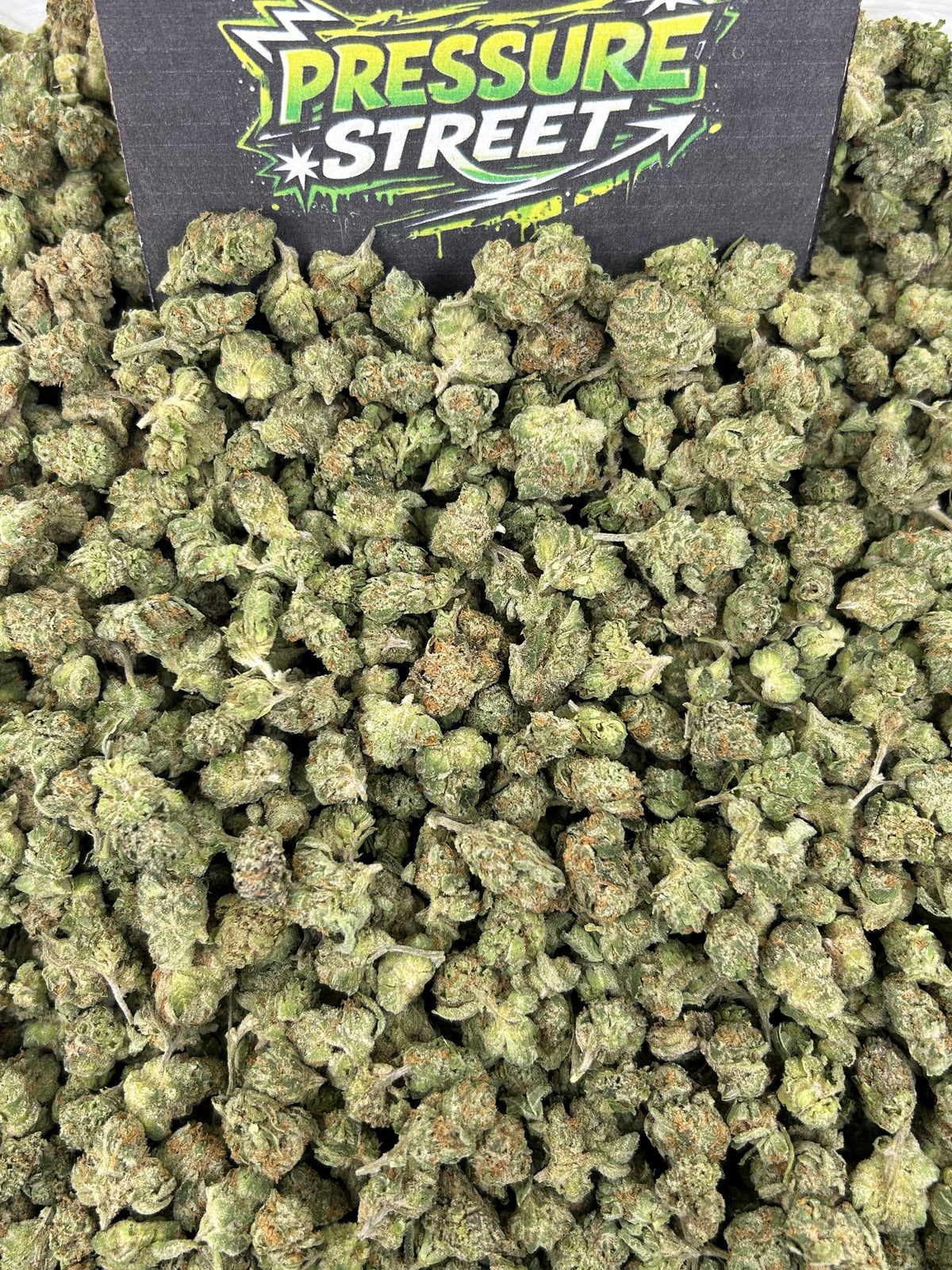 #N-ECS410 - Garden Island Sherbet SM (Hybrid)