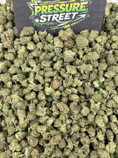 #N-ECS410 - Garden Island Sherbet SM (Hybrid)