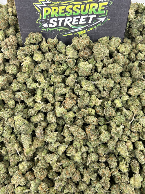 #N-ECS410 - Garden Island Sherbet SM (Hybrid)