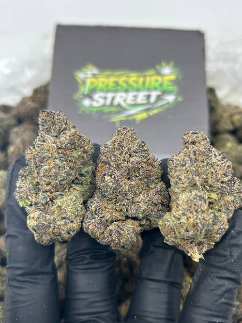 #N-CM1364 - Berry Dream (Hybrid)