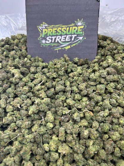 #N-ECS423 - Peach Berry SM (Hybrid)