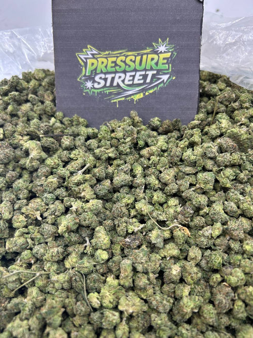#N-ECS423 - Peach Berry SM (Hybrid)