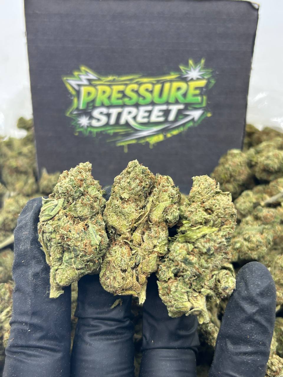 #N-EC093 - King Kong (Hybrid)