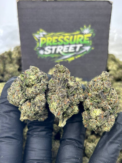#N-EB303 - Vanilla Crumble (Hybrid)