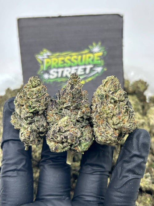 #N-EB305 - Grape Soda(Hybrid)