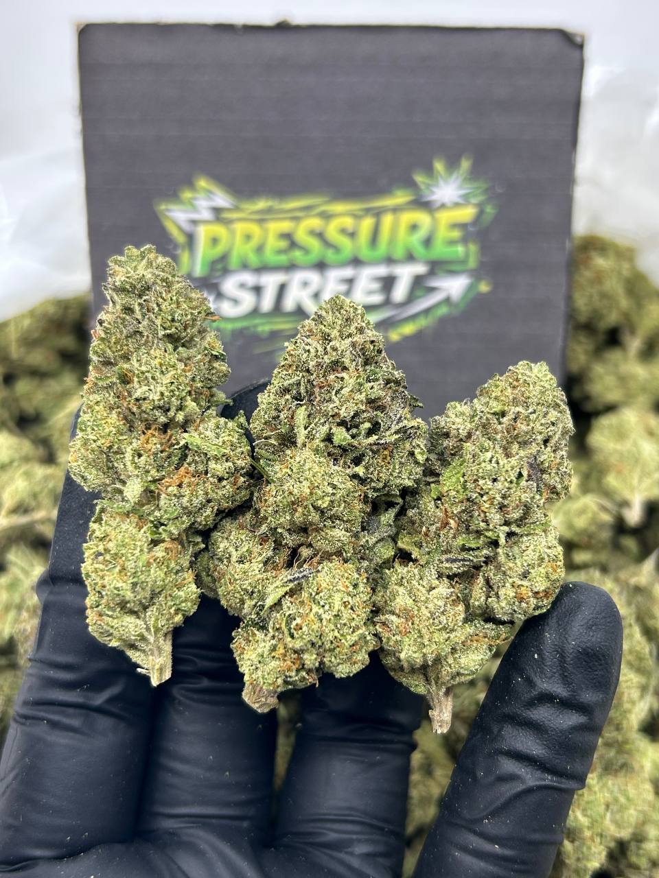 #N-EB306 - Marz Cookiez (Hybrid)