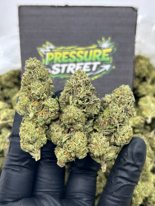 #N-EB306 - Marz Cookiez (Hybrid)