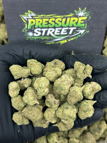 #B-ECS009 - Pineapple Jam SM (Hybrid)