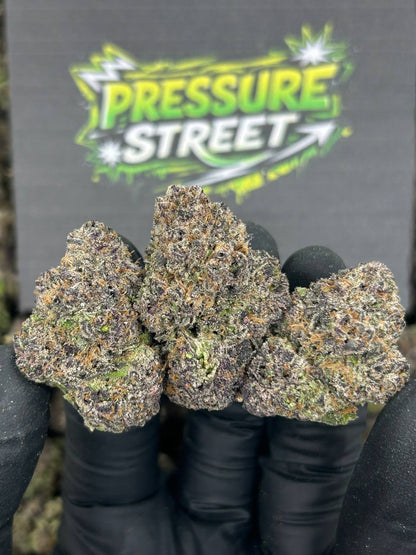 #N-CM1124 - Cherry Gusherz (Indica)