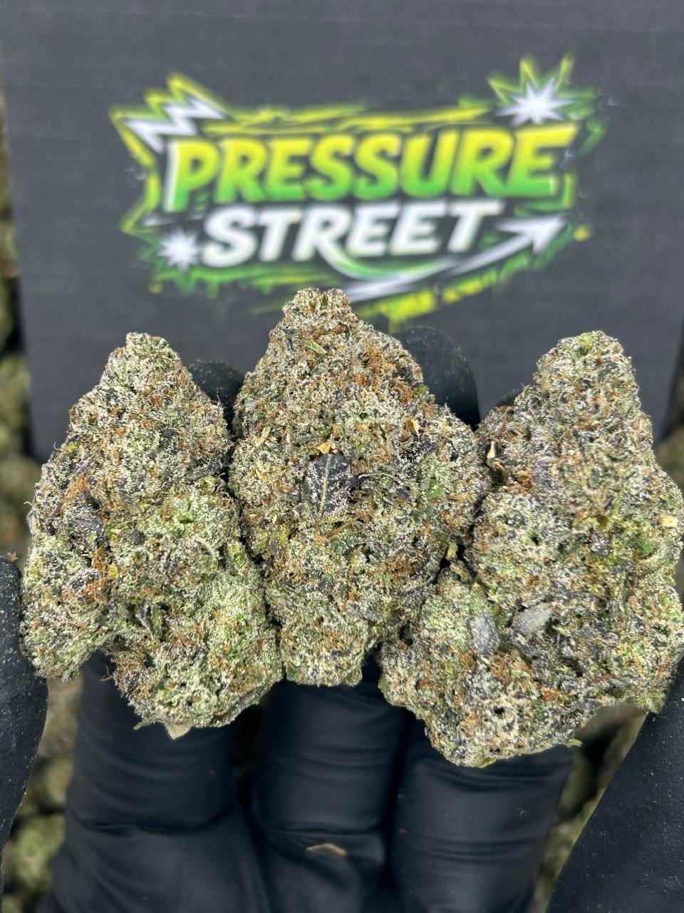 #N-CM1131 - Grape Burst (Indica)