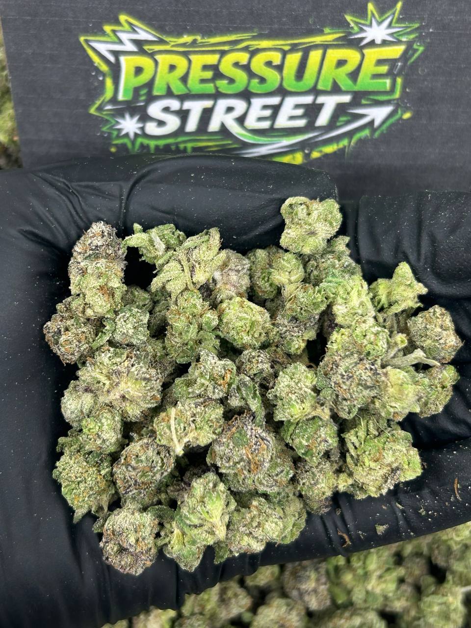 #N-ECS306 - Melonade SM  (Indica)