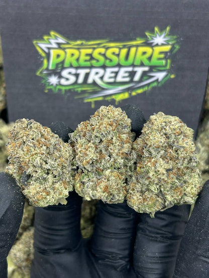 #N-EB240 - Oreo Milkshake (Sativa)