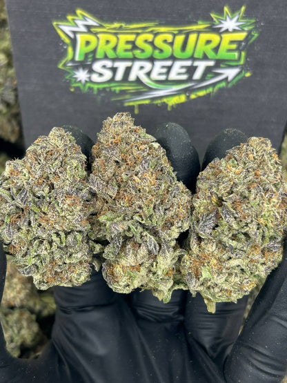 #N-EB243 - Vanilla Cruffinz (Sativa)