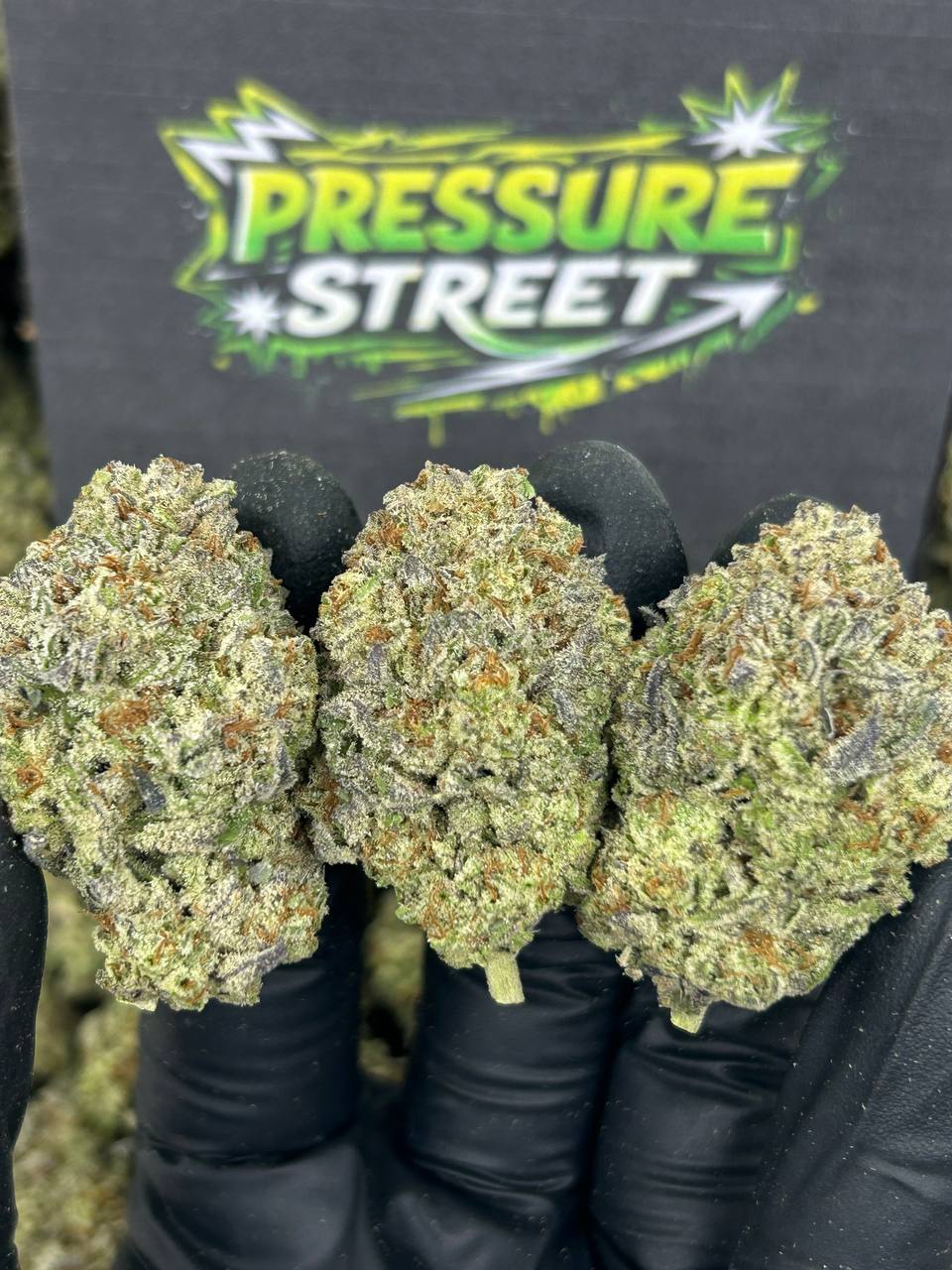 #N-EB241 - Frozen Orange (Hybrid)