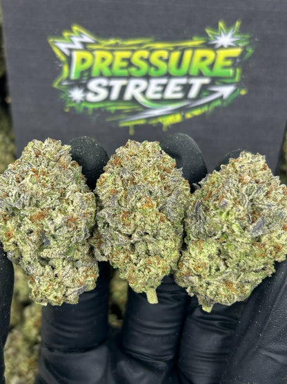 #N-EB241 - Frozen Orange (Hybrid)